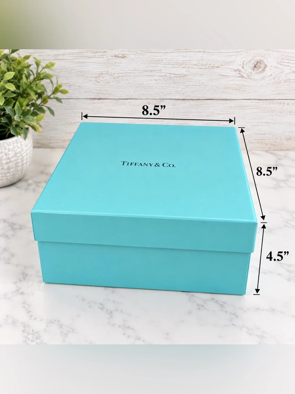 Tiffany & Co. Jewelry Box